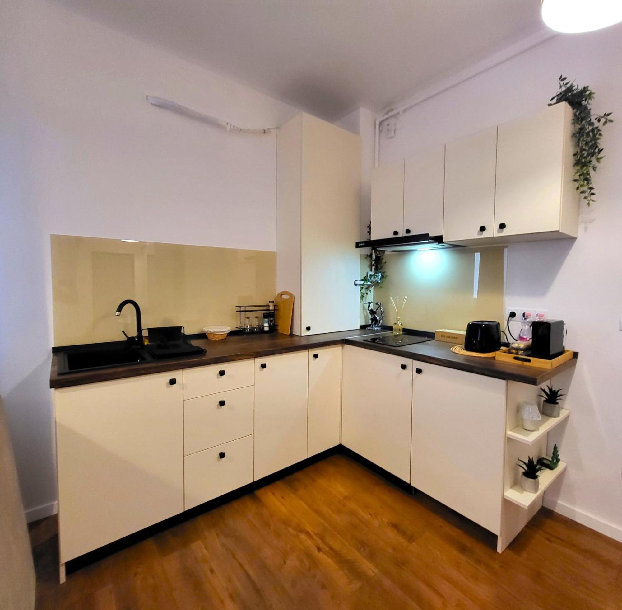 Garden City Studio Sibiu Bagian luar foto